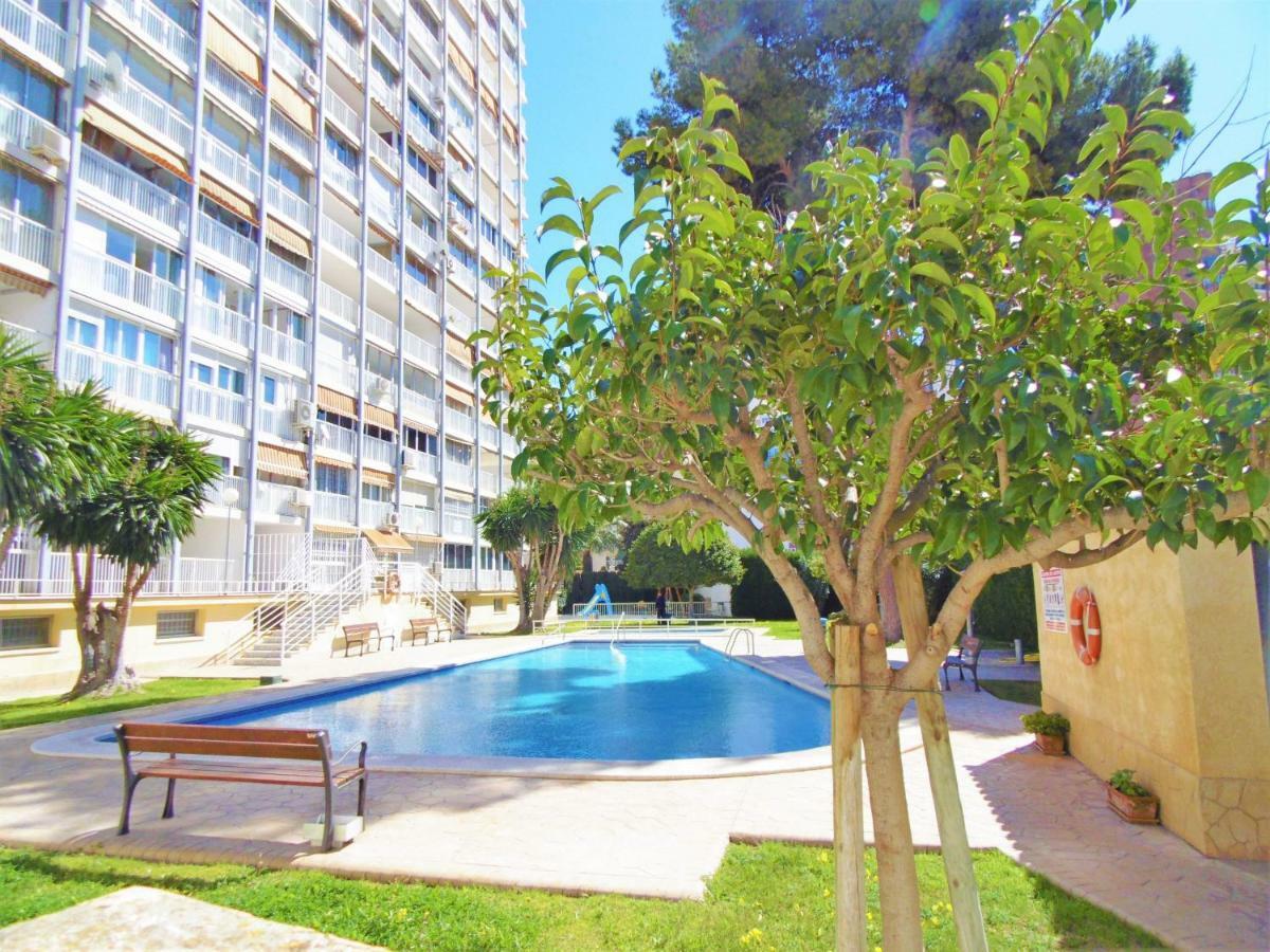 Apartament Albatros 17-5 Benidorm Zewnętrze zdjęcie